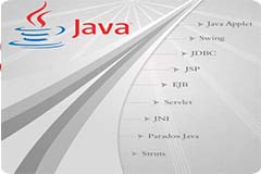 Developing Web Applications in Java
