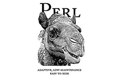Perl Scripting