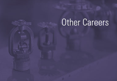 Other Careers