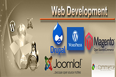 Basics of Software developement skills