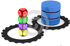 Database manegement system
